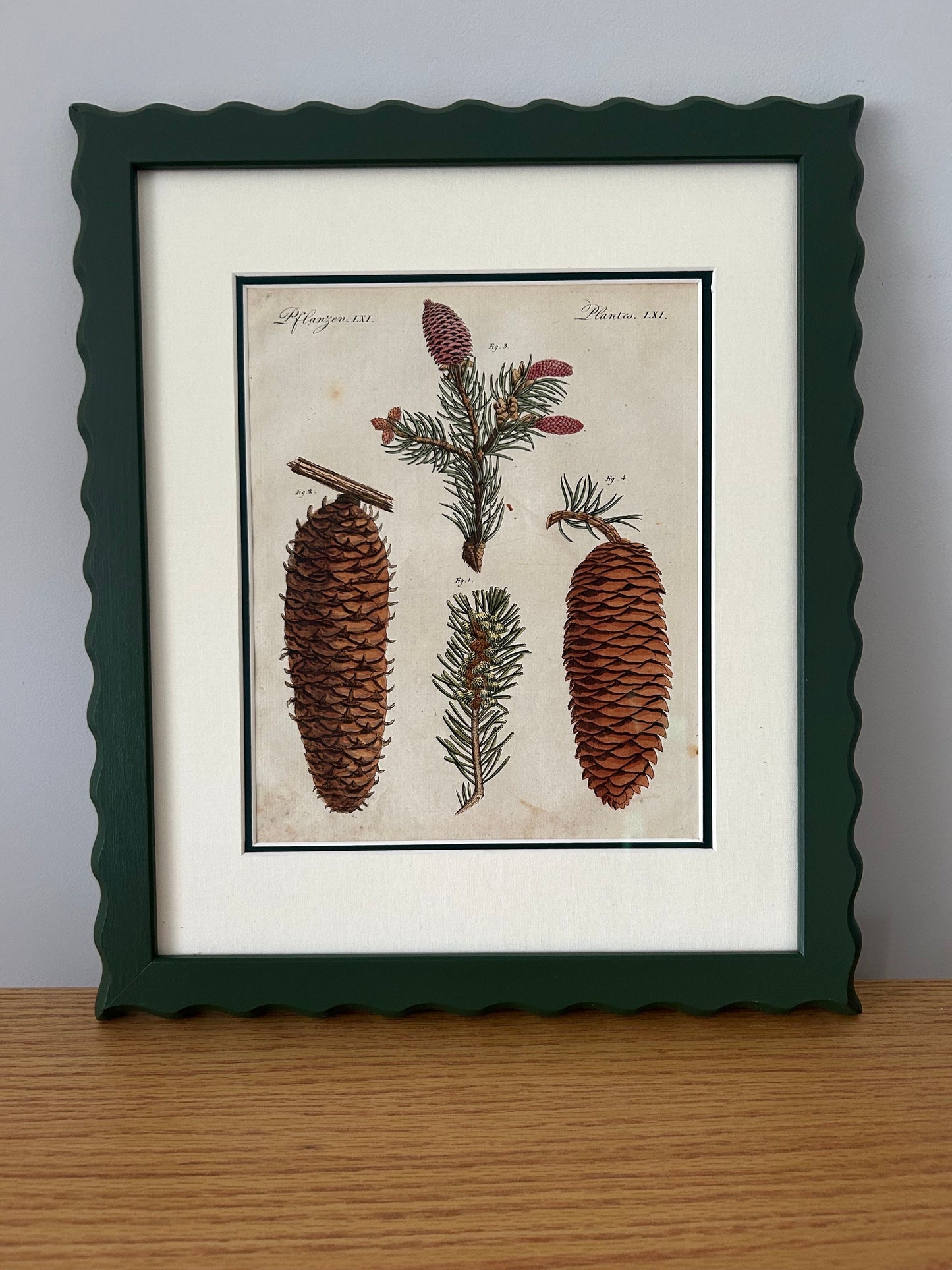 Original Bertuch 1798 antique botanical copperstitch engravings in AR70 Artglass and conservation linen double mounts price per item