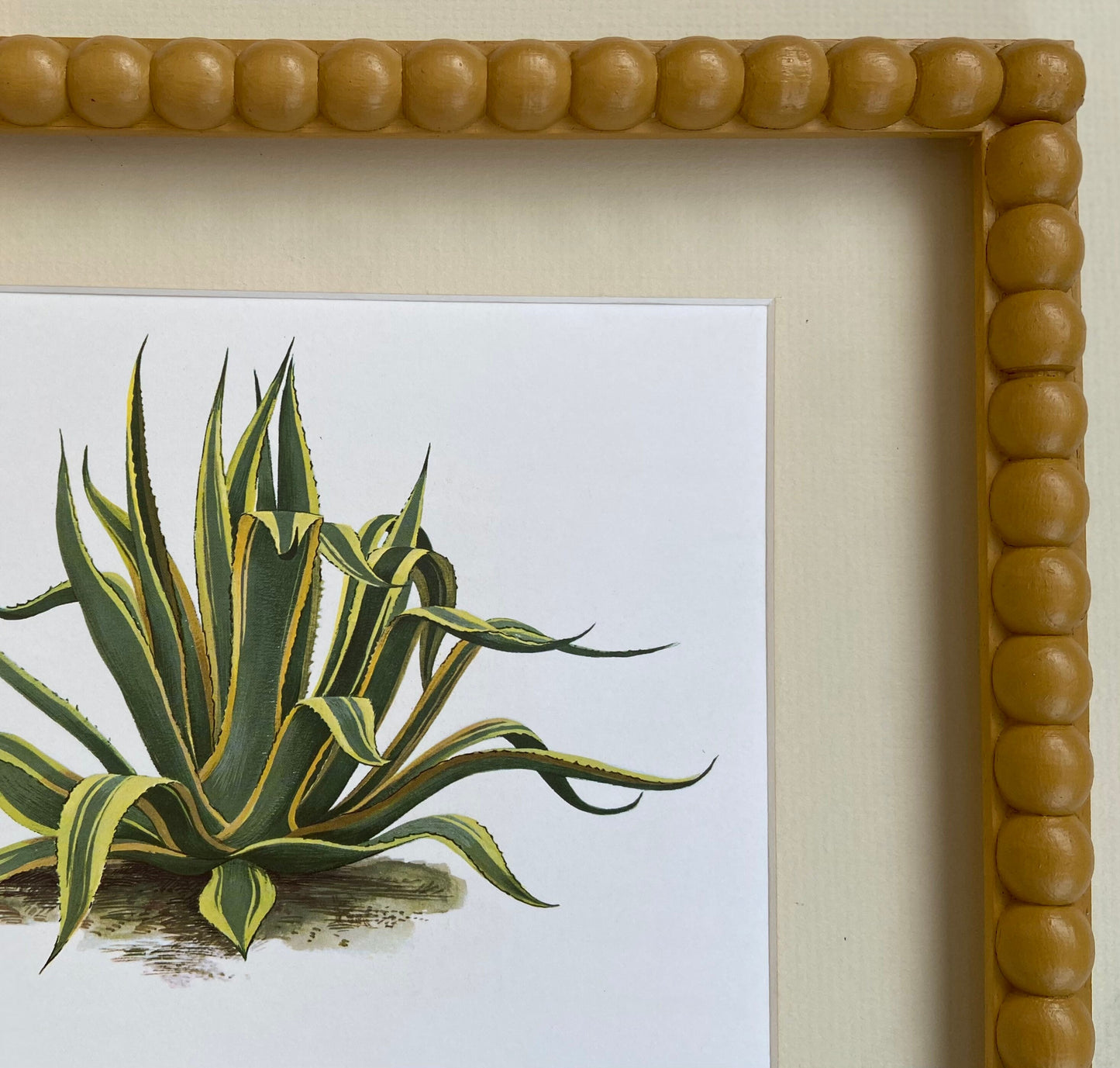 Exclusive 20mm hand painted oak bobbin bobble picture frame 8x6 12x10 16x12 A4 A3 14x11 18x12 20x16 24x16 30x20 36x24 48x36 A1 A2