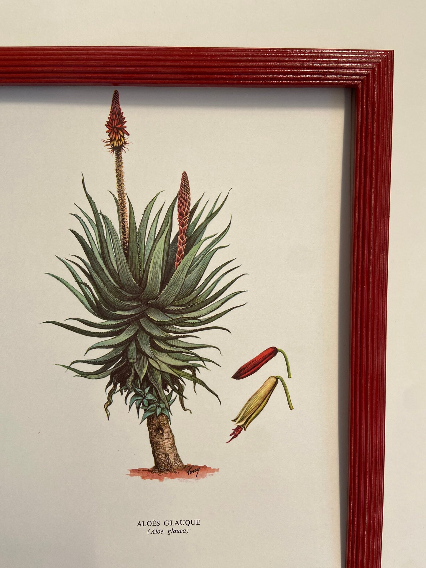Reeded curved hand painted picture frames bespoke made to order any colour any size