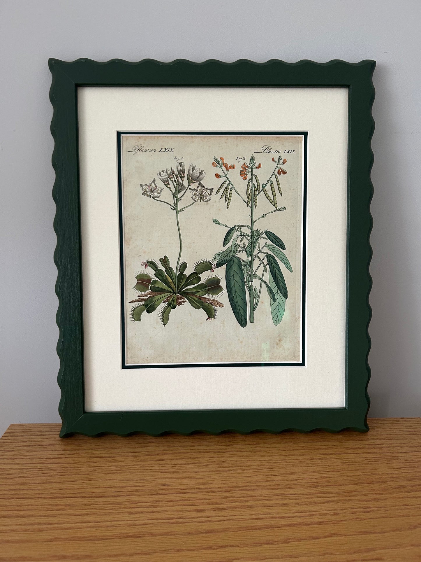Original Bertuch 1798 antique botanical copperstitch engravings in AR70 Artglass and conservation linen double mounts price per item