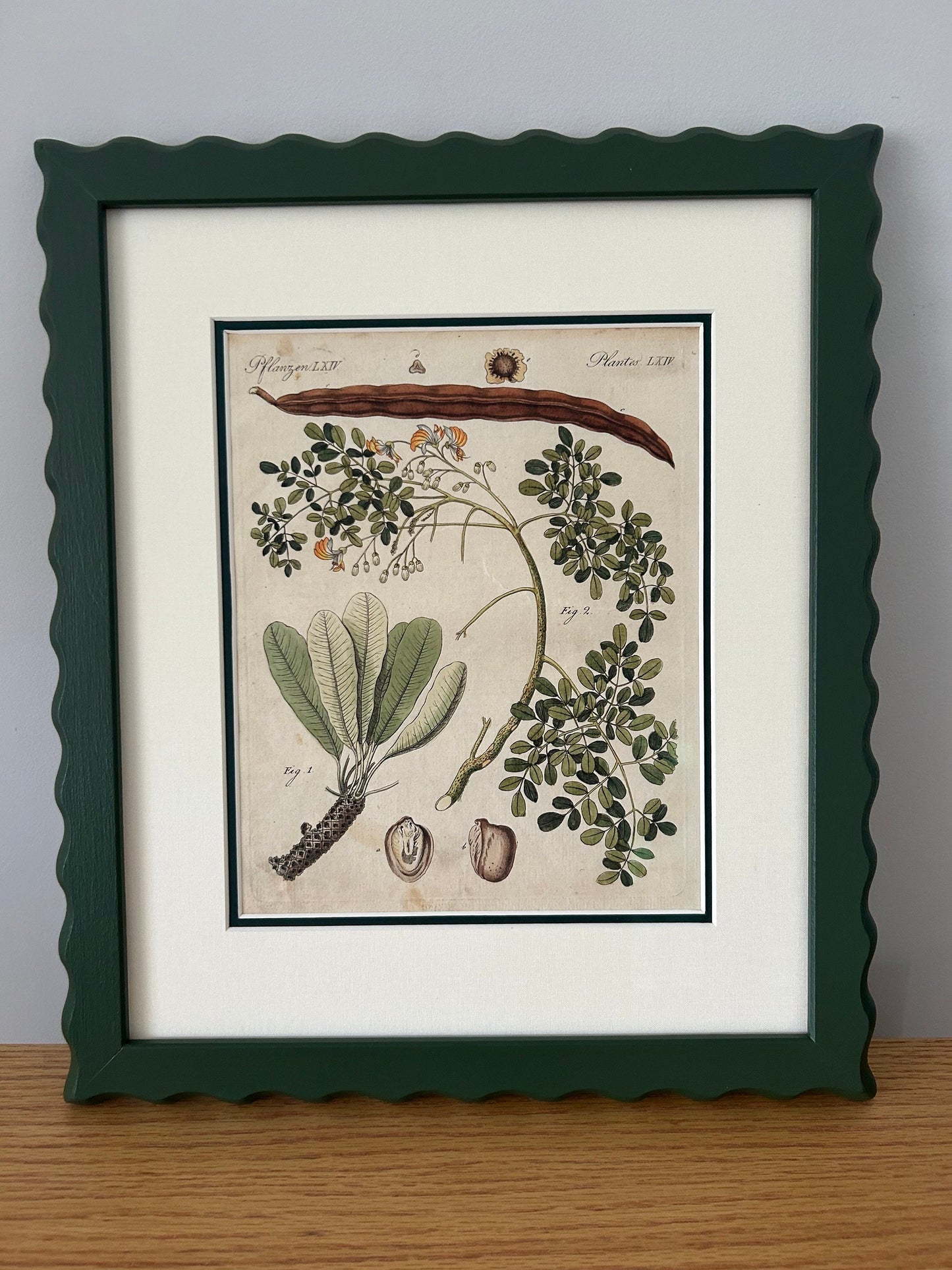 Original Bertuch 1798 antique botanical copperstitch engravings in AR70 Artglass and conservation linen double mounts price per item