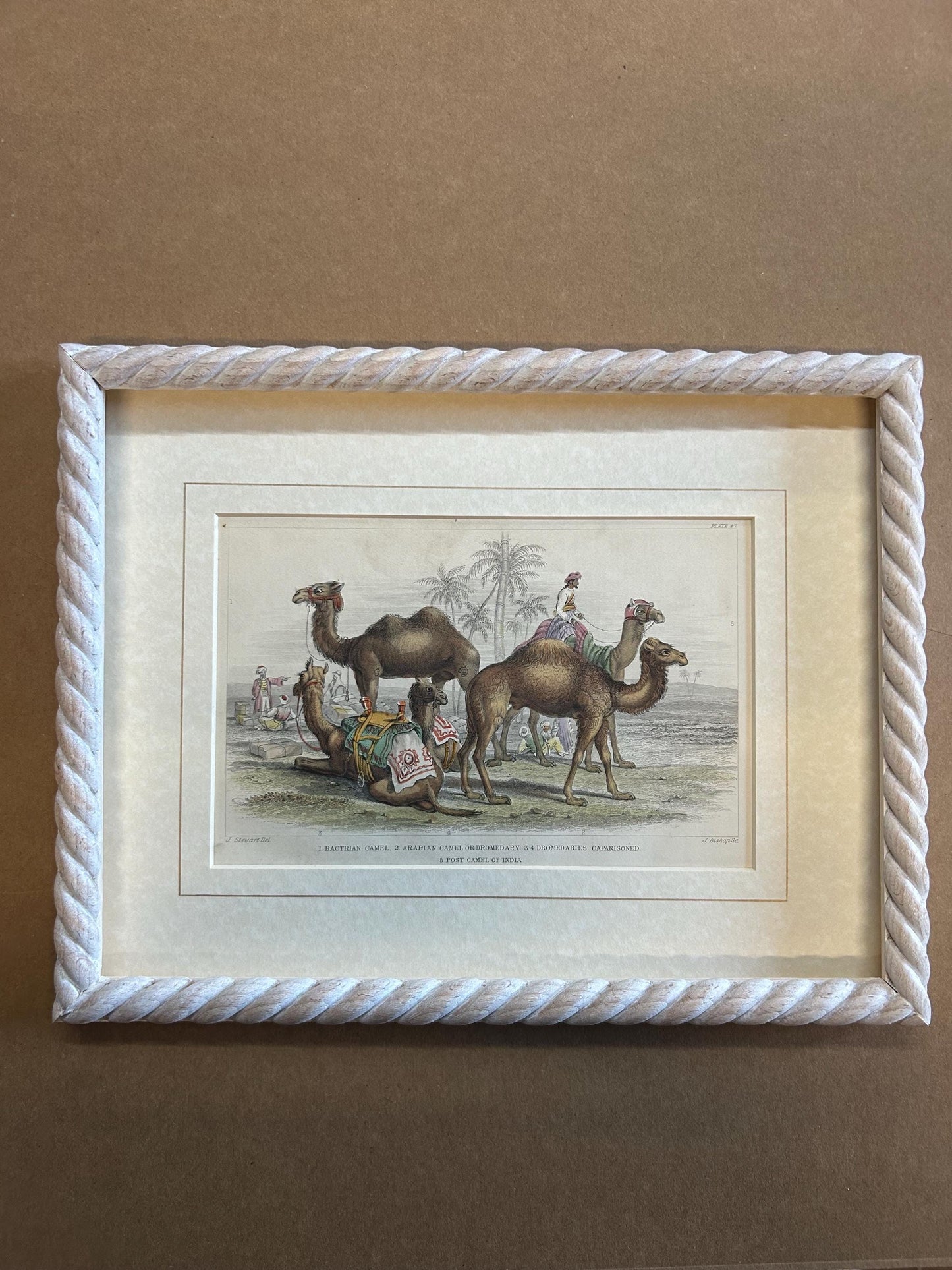 Original Oliver Goldsmith 1852 antique copper engraved prints in AR70 Artglass and mounts in limed rope twist picture frame, price per item