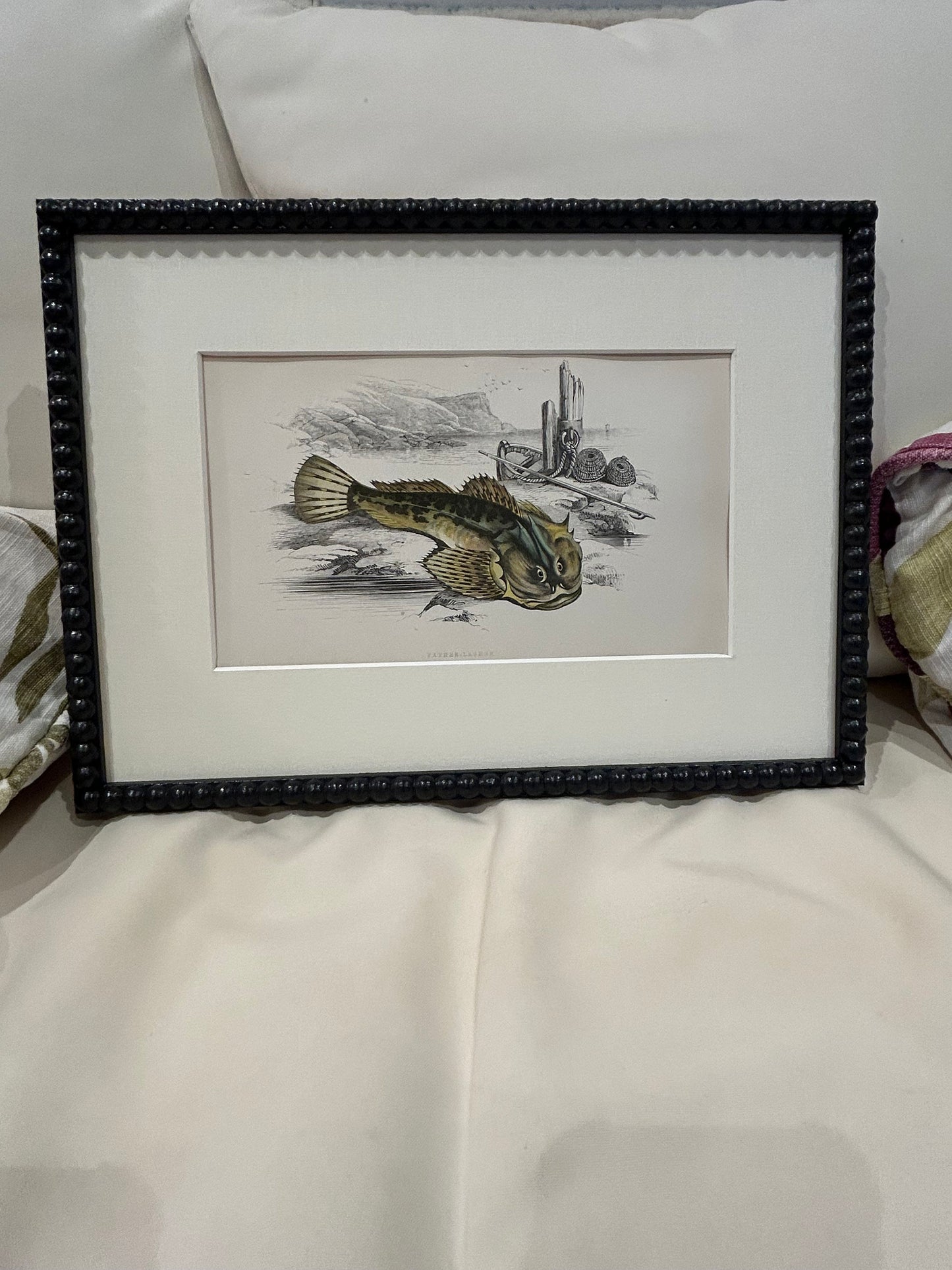 Fabulous fish antique prints set of four in F&B off-black bobbin frames 150yr old 35cm x 26cm