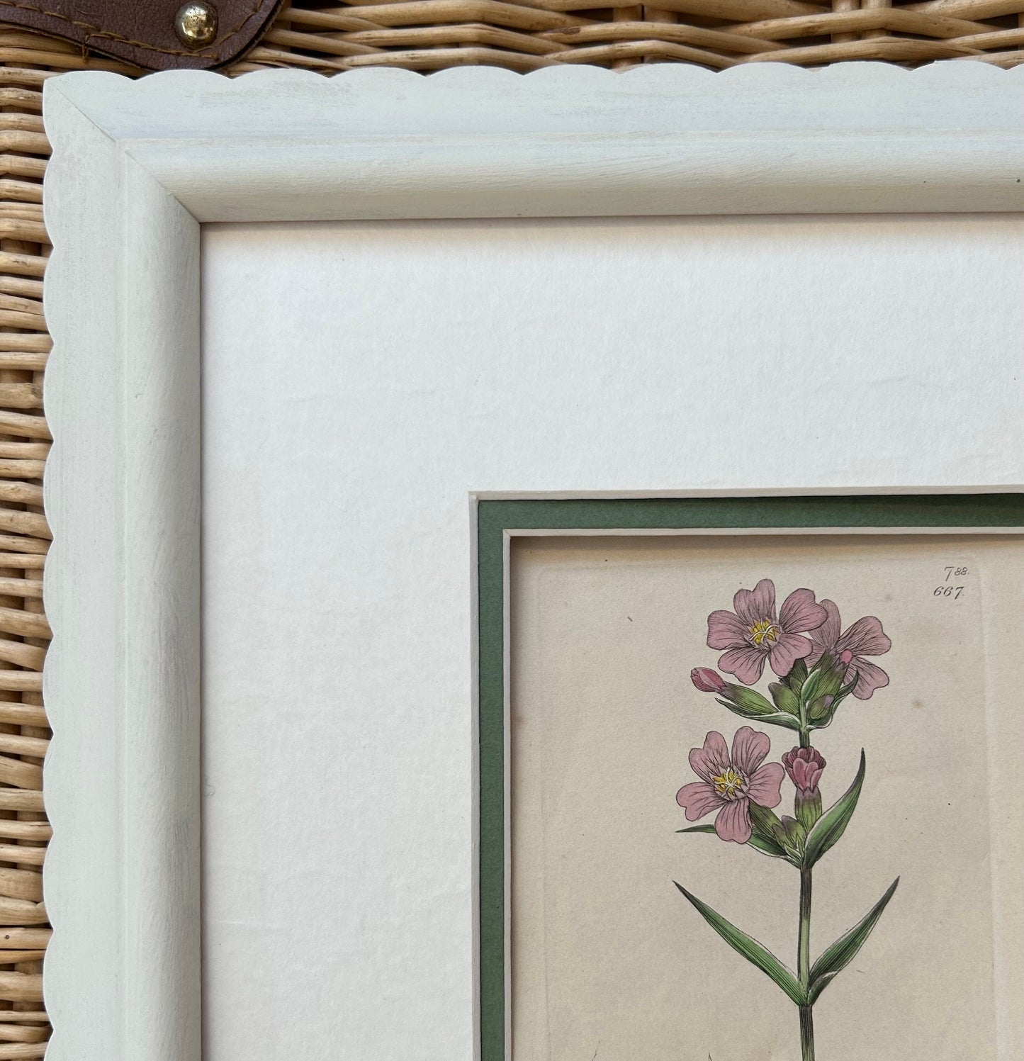 Scallop shaped hand painted wooden larger version 35mm picture frames bespoke made to order. Any colour available
