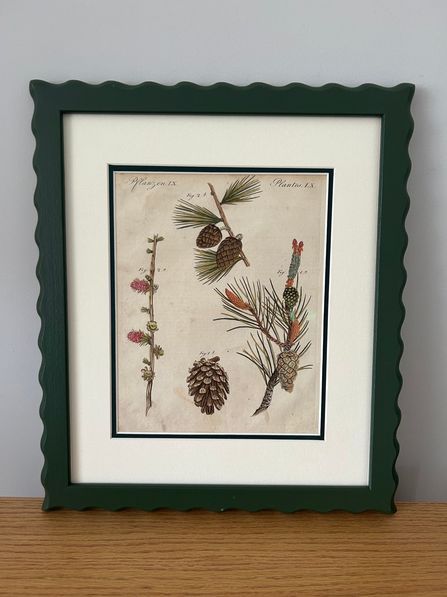 Original Bertuch 1798 antique botanical copperstitch engravings in AR70 Artglass and conservation linen double mounts price per item
