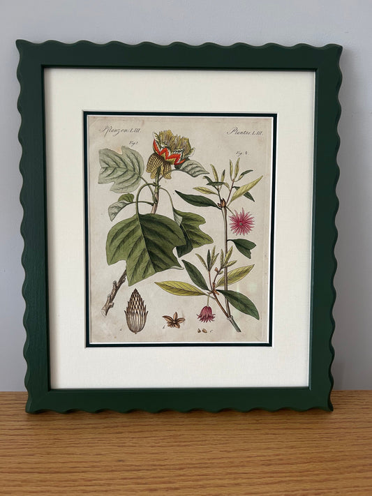 Original Bertuch 1798 antique botanical copperstitch engravings in AR70 Artglass and conservation linen double mounts price per item